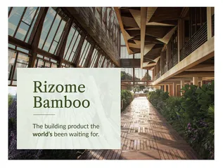 Rizome